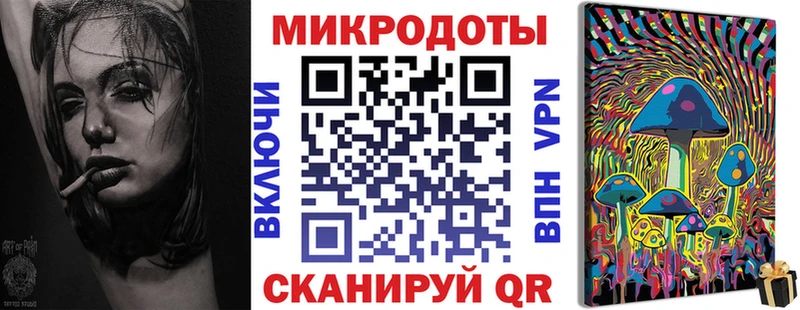 Псилоцибиновые грибы Psilocybine cubensis  Власиха 